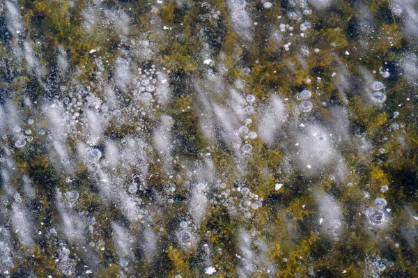 Textur Muster Hintergrund weiß Winter, Fluss Eis Luftblasen s — Stockfoto