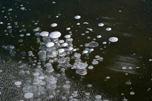 Texture pattern background white Winter, river ice air bubbles s