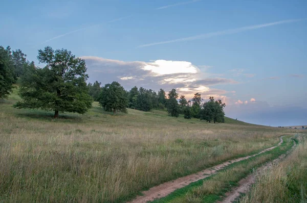 Paisagem de verão, à beira da montanha no fundo do cenário — Fotografia de Stock