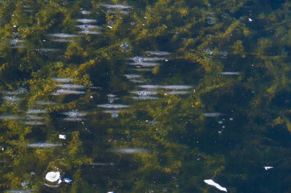 Vzorek textury pozadí bílá zima, bubliny na ledové říčním vzduchu — Stock fotografie