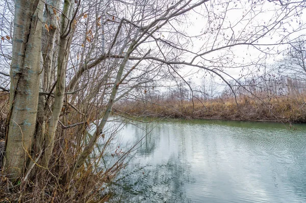 Inverno, paisagem de outono. O rio com gelo, árvores sem folhas — Fotografia de Stock