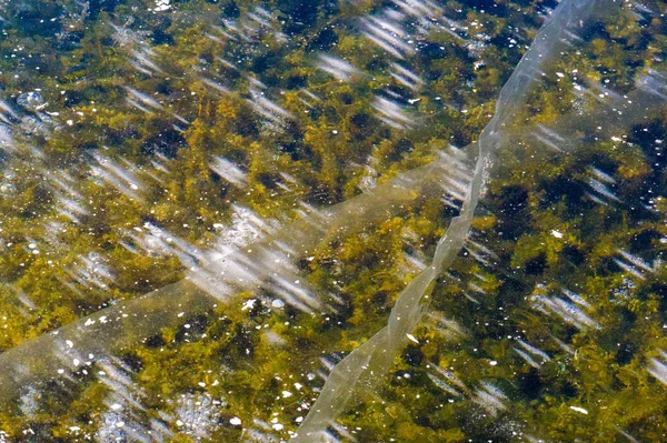 Textur mönster bakgrund vit vinter, floden isen luftbubblor s — Stockfoto