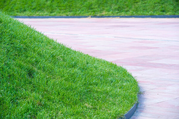 Городская фотография, газон - это территория, покрытая почвой
