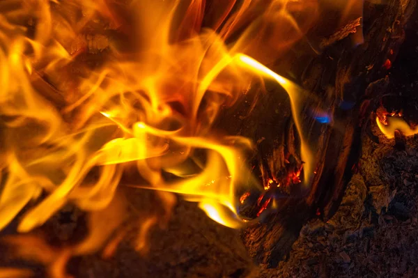 Le feu dans sa forme la plus courante peut conduire à un incendie qui peut causer p — Photo