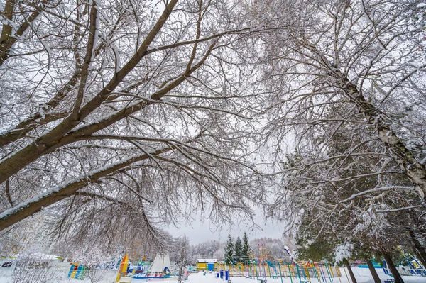 Зимняя фотография была сделана с широкоугольным объективом, первый сно — стоковое фото