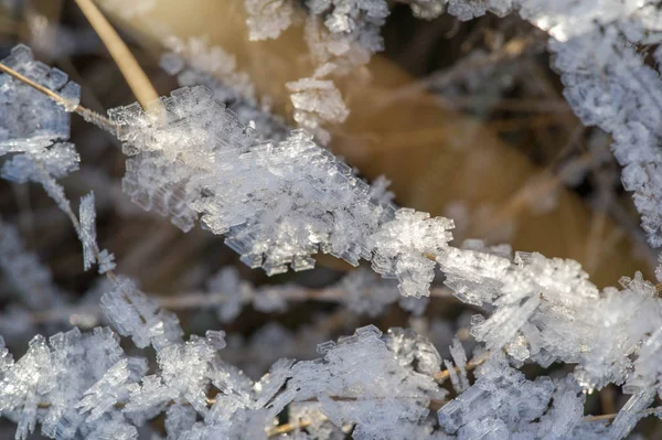 Pozadí textury, vzorek. Mráz na výletě trávy. a zabránění spuštění dat — Stock fotografie