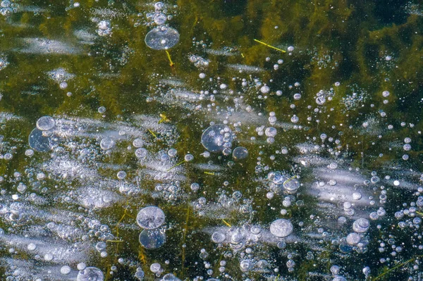 Texture modello sfondo bianco inverno, fiume ghiaccio bolle d'aria s — Foto Stock