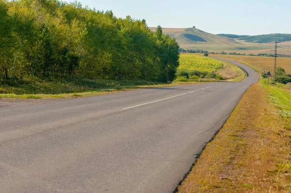 Summer landscape, local road, way, route, driveway, drive, ride — Stock Photo, Image