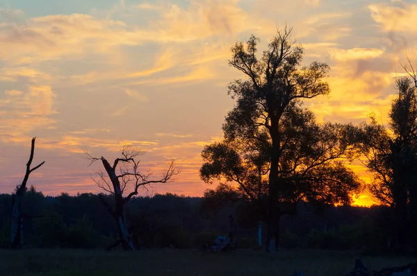 Foto Zomer landschap, Dageraad zonsondergang mooie verven schilderde de — Stockfoto