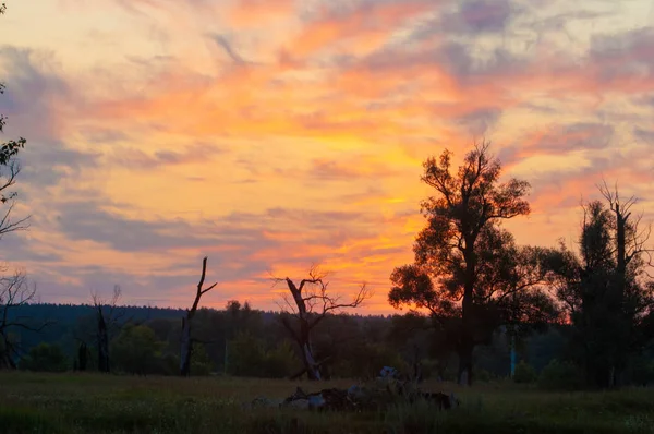 Estate foto paesaggio, Tramonto dell'alba belle vernici dipinte il — Foto Stock