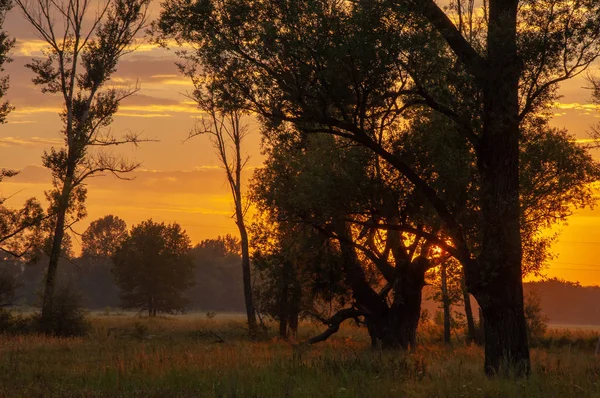 Foto paisaje de verano, amanecer puesta del sol hermosas pinturas pintadas el — Foto de Stock