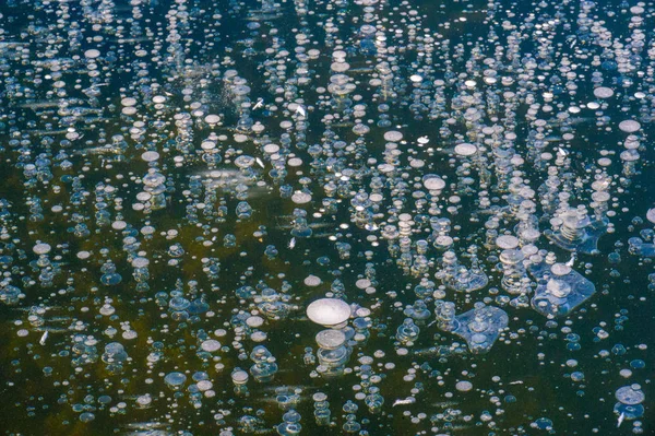 Texture motif fond blanc Hiver, bulles d'air de glace de rivière s — Photo