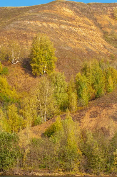 Autumn landscape, river, windy weather, dark blue water, yellow- — Stock Photo, Image