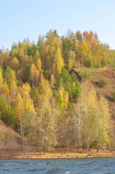 秋天的风景，河流，多风的天气，深蓝色的水，黄色- — 图库照片