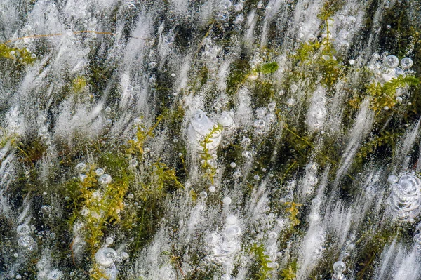 Texture pattern background white Winter, river ice air bubbles s — Stock Photo, Image