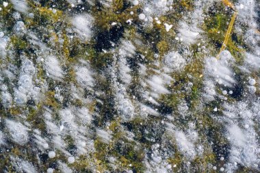 Doku deseni arka plan beyaz Kış, nehir buz hava kabarcıkları s