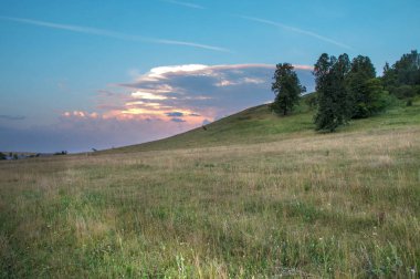 Yaz manzarası, arka planda dağ manzarası. 