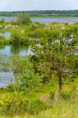 Nehir manzaralı yaz manzarası fotoğrafı. Büyük doğal bir st.