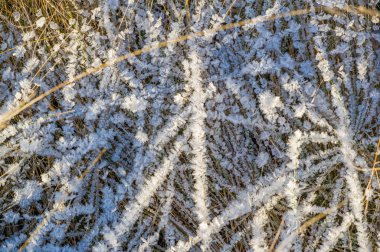 Doku arka planı, desen. Çimenlerin üzerinde buz. bir dep