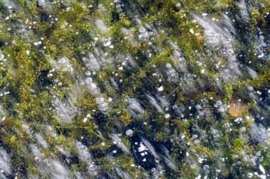 Doku deseni arka plan beyaz Kış, nehir buz hava kabarcıkları s