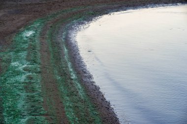 Yaz manzarası. Su tarafından oluşturulan kum bir çizim ve kazanmak