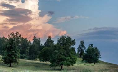 Yaz manzarası, arka planda dağ manzarası. 