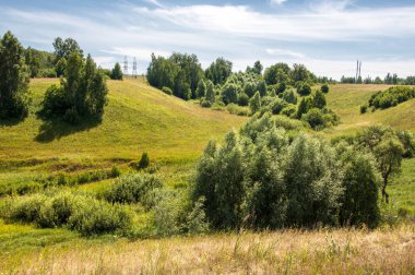 Yaz manzarası, vadi, çim filizi, karışık otlar. İğne ağaçları
