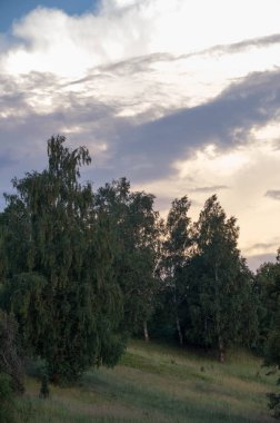 Yaz manzarası, arka planda dağ manzarası. 