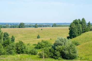 Yaz manzarası, vadi, çim filizi, karışık otlar. Küçük bir nehir.