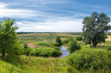 Yaz manzarası, vadi, çim filizi, karışık otlar. Küçük bir nehir.