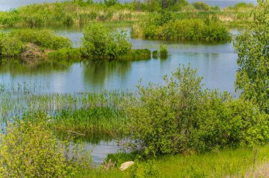 Nehir manzaralı yaz manzarası fotoğrafı. Büyük doğal bir st.