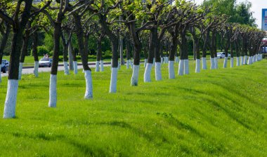 2018 05 10 Naberezhnye Chelny Rusya dokusu, arkaplan, patırtı