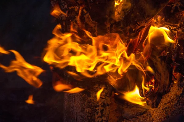 En yaygın haliyle yangın p neden olabilir bir yangına yol açabilir — Stok fotoğraf