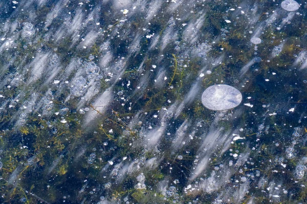 Textura patrón fondo blanco Invierno, río hielo burbujas de aire s —  Fotos de Stock