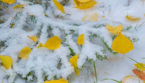 我们得到了我们的第一个雪的季节在夜间，灰尘 — 图库照片