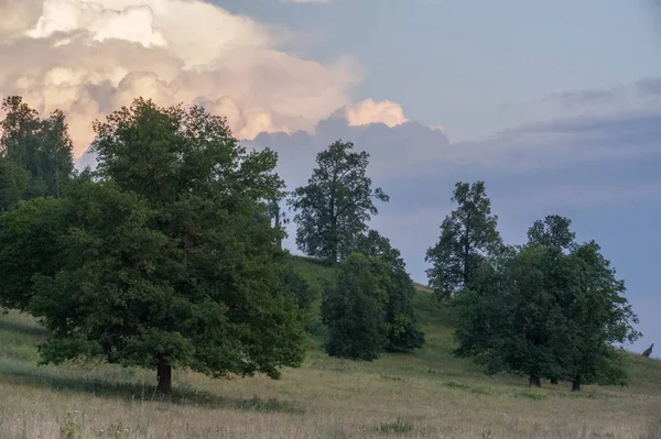 Yaz manzarası, arka planda dağ manzarası. — Stok fotoğraf