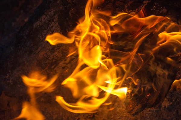 Fire in its most common form can lead to a fire that can cause p — Stock Photo, Image