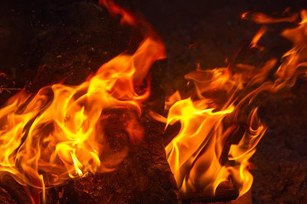 En yaygın haliyle yangın p neden olabilir bir yangına yol açabilir — Stok fotoğraf