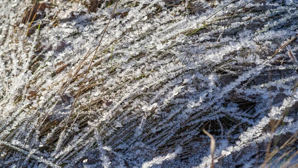 Texture background, pattern. Frost on the sprigs of grass. a dep — Stock Photo, Image