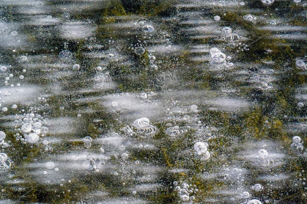 Texture motif fond blanc Hiver, bulles d'air de glace de rivière s — Photo