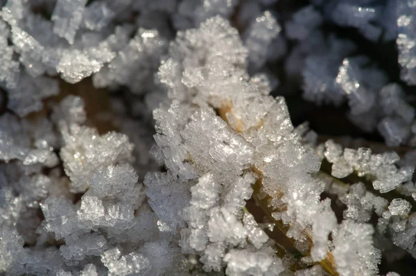 Textúra háttér, mintázat. Frost a gallyakból a fű. a DEP — Stock Fotó