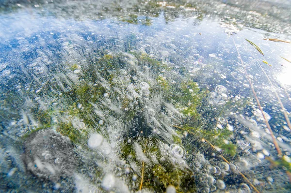 Zimní fotografie krajiny, vzduchové bubliny zamrzly ve vodě. Fa — Stock fotografie