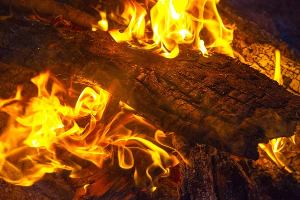 Fire in its most common form can lead to a fire that can cause p — Stock Photo, Image