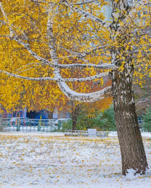 La première neige, la fin de l'automne, les feuilles d'automne sur la neige. chutes de neige — Photo