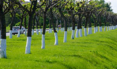 2018 05 10 Naberezhnye Chelny Rusya dokusu, arkaplan, patırtı
