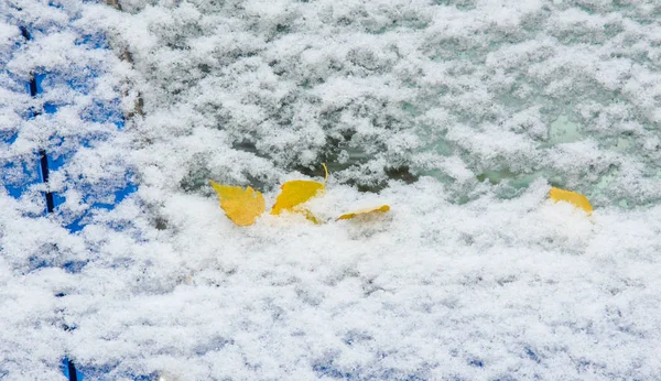 私たちは夜の間に季節の最初の雪を得た。 — ストック写真