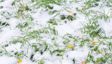 Sezonun ilk karını gece boyunca aldık.