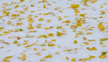 Sezonun ilk karını gece boyunca aldık.