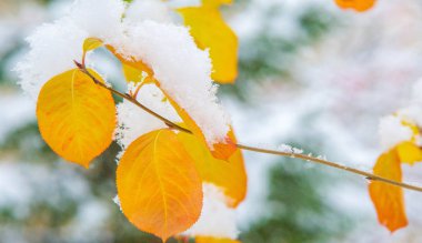 Sezonun ilk karını gece boyunca aldık.