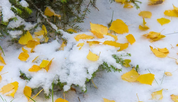 我们得到了我们的第一个雪的季节在夜间，灰尘 — 图库照片